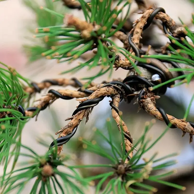 Drut treningowy Gardio do bonsai – elastyczny aluminiowy drut anodowany do formowania roślin