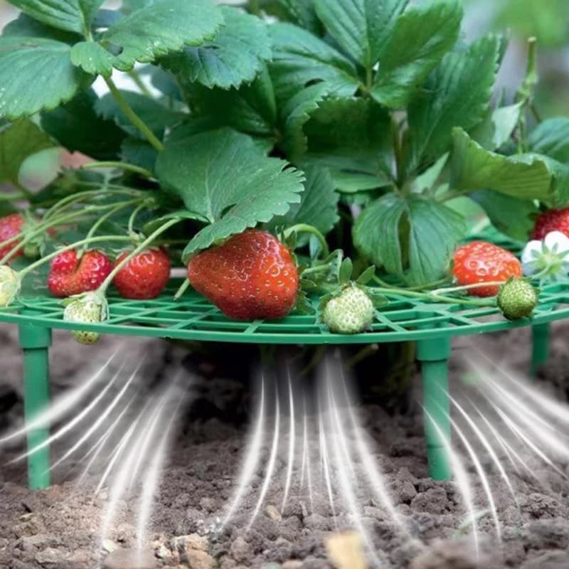 Podpórka do truskawek Gardio – okrągły stelaż ochronny przeciw gniciu owoców i chwastom